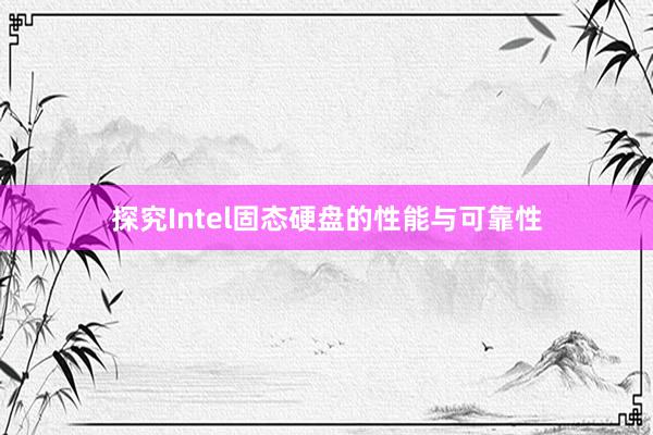 探究Intel固态硬盘的性能与可靠性