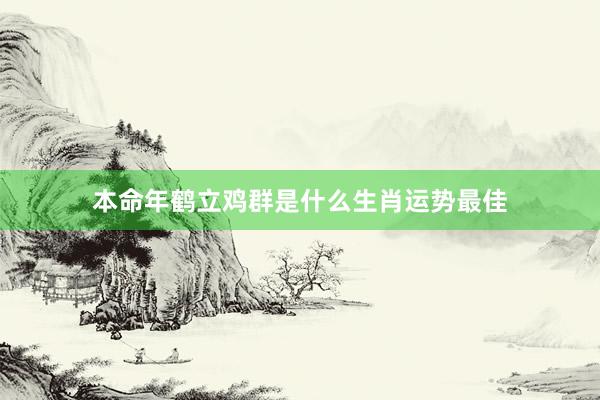 本命年鹤立鸡群是什么生肖运势最佳